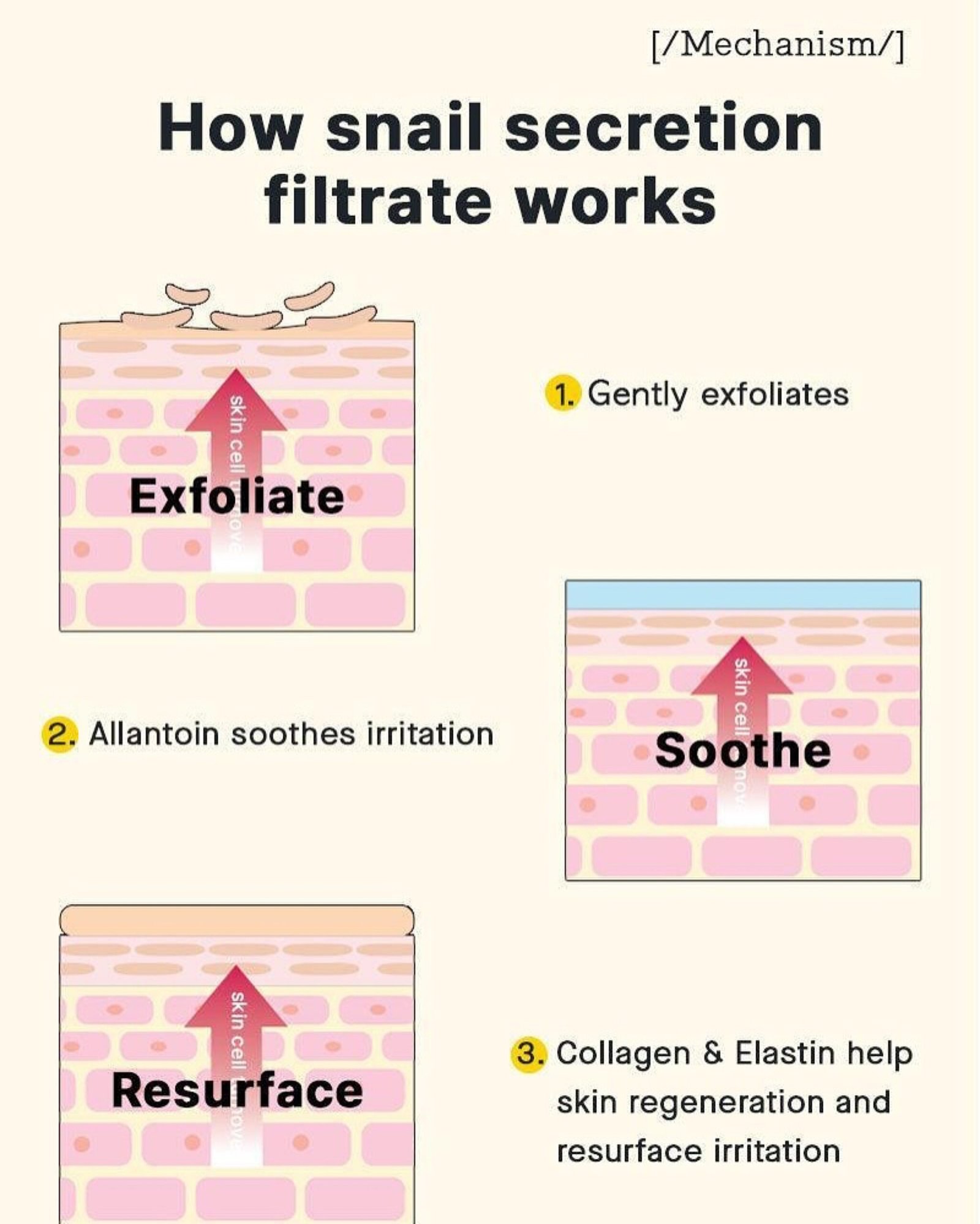 COSRX Advanced Snail 96 Mucin Power Essence - Image 3