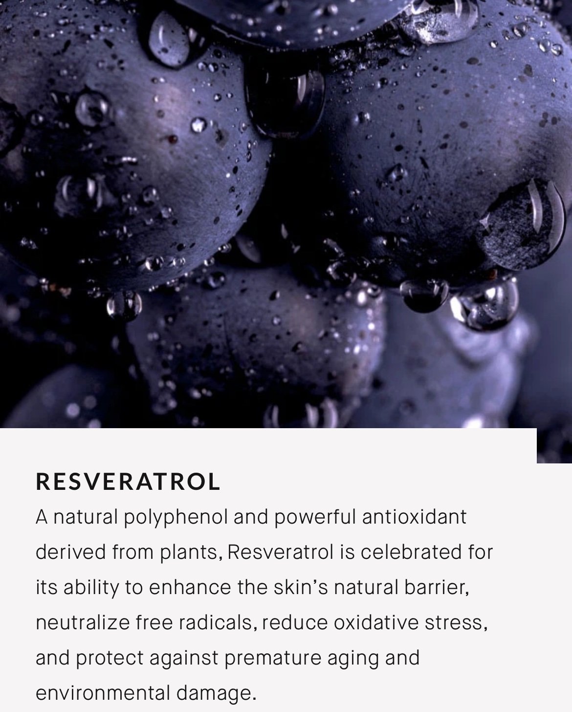 Augustinus Bader The Serum with TFC8® (unboxed), 15ml - Image 8